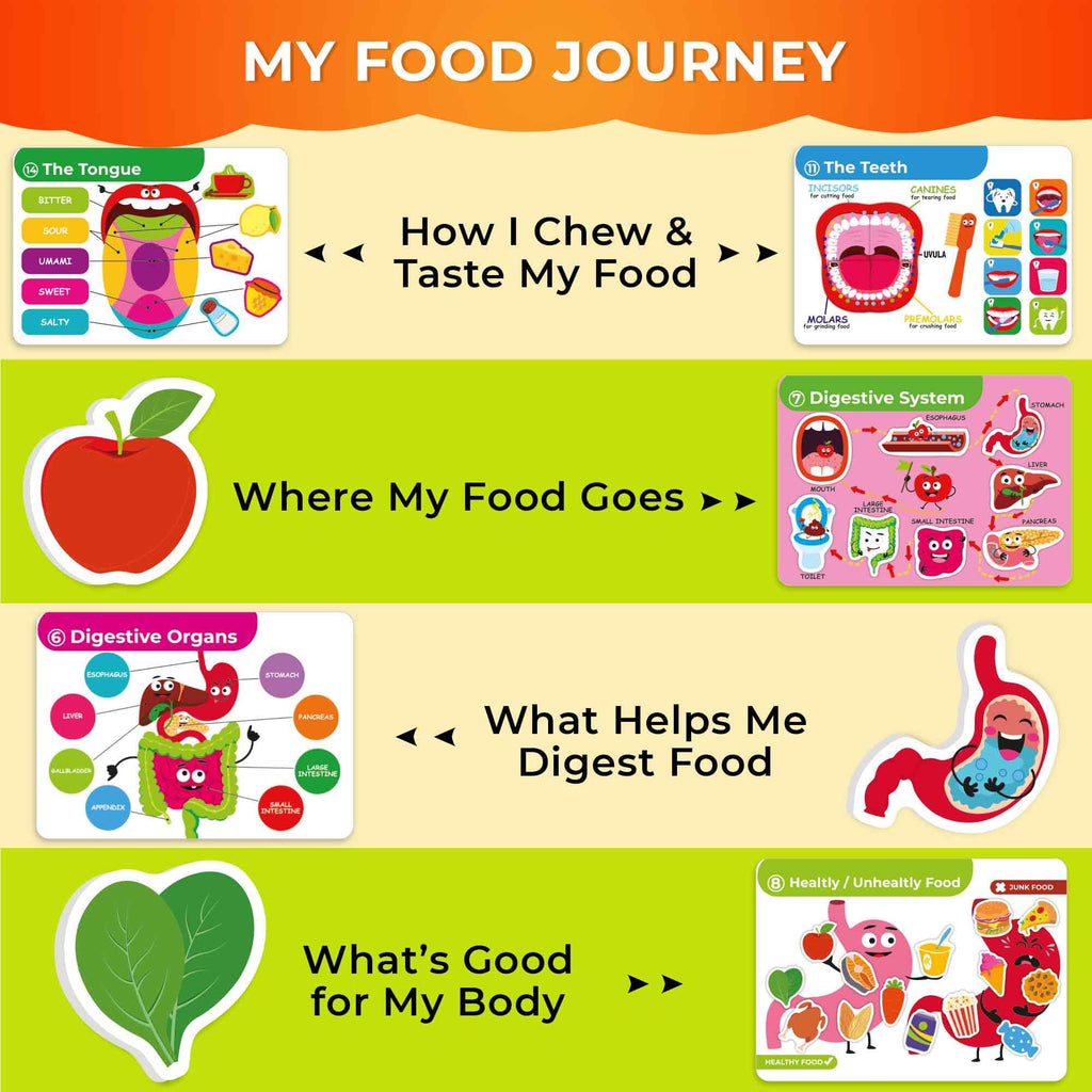 QUOKKA Human Body Busy Books for Kids Ages 4-8 - Fun Human Anatomy Activities for Kids Learning at Home or Classrooms - My Preschool Montessory Busy Book for Toddlers 3-5 I Comes Fully Assembled