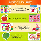 QUOKKA Human Body Busy Books for Kids Ages 4-8 - Fun Human Anatomy Activities for Kids Learning at Home or Classrooms - My Preschool Montessory Busy Book for Toddlers 3-5 I Comes Fully Assembled