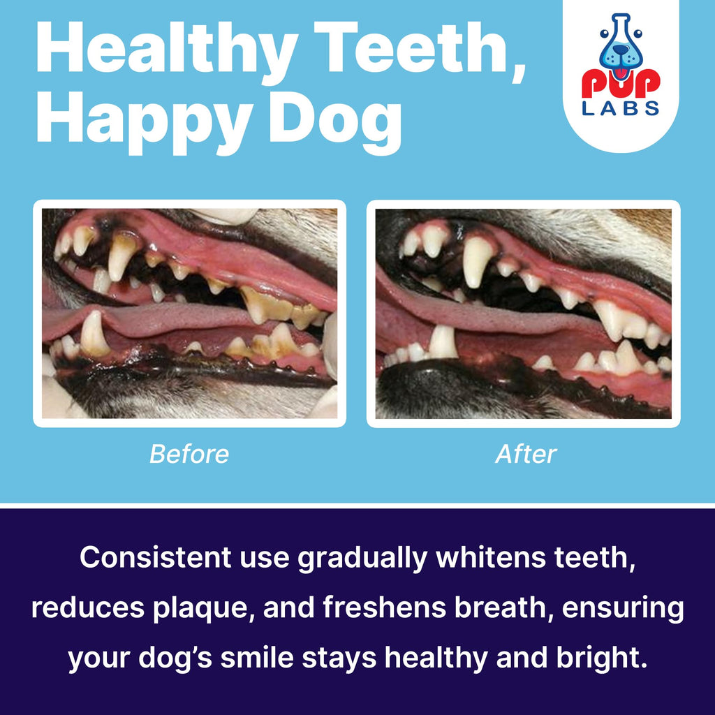 Pup Labs ProDenta, All-Natural Dog Dental Powder for Teeth Cleaning, Dental Powder for Dogs Teeth with Breath Freshener. Easy to use for Tartar Removal and Leaky Gums. Made in USA, 30 Servings