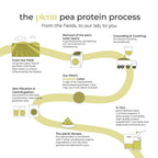 plenti Organic Plant-Based Protein Powder: Vanilla - 20g Pea Protein + Probiotics, Digestive Enzymes & Omega 3-6, Gut Friendly, Sugar Free, 27 Servings (2 lbs)