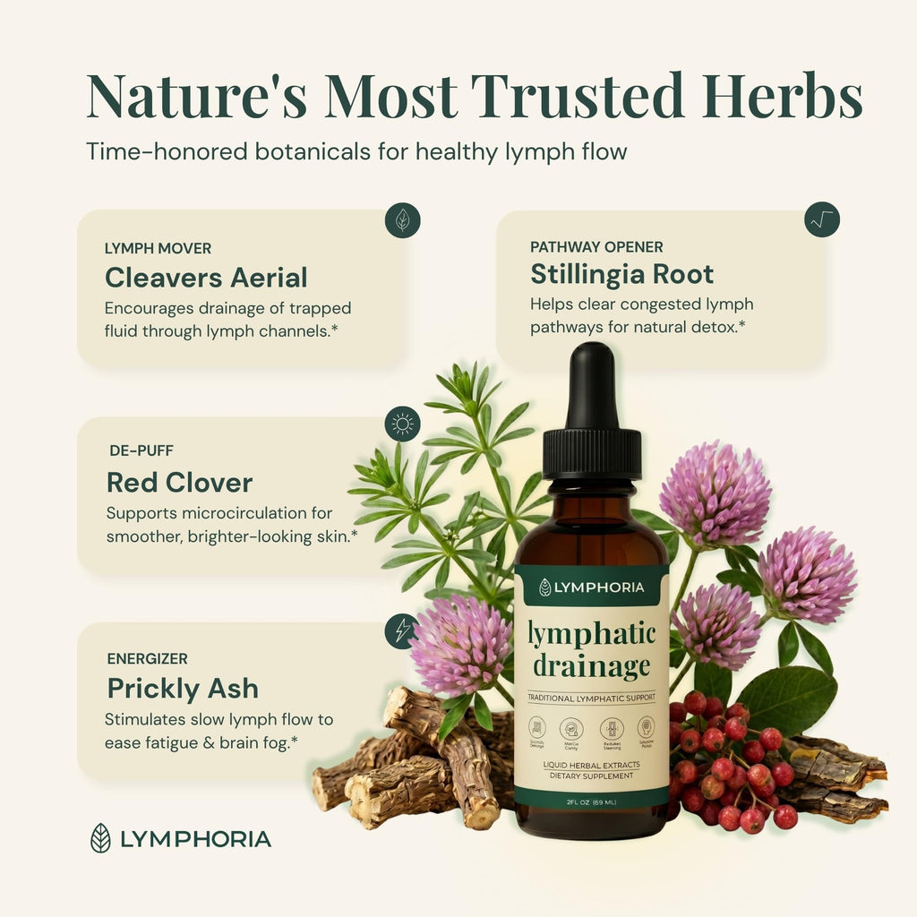 LYMPHORIA Lymphatic Drainage Drops for Bloat Relief & De-Puff – Cleavers, Red Clover, Stillingia Root & Prickly Ash Bark – Lymph Node Detox Cleanse, Fluid Retention – Alcohol-Free, Vegan, 2 Fl Oz
