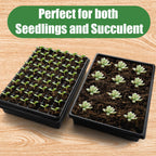 3-Pack Seed Starter Trays with 5" Tall Humidity Domes & 54-Cell Deep Trays