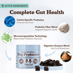 Natural Dog Company Probiotic Chews (90 Bites), Chicken Flavor, Helps with Digestion, Supports Immune System, Probiotics Supplement for Dogs of All Ages, Sizes & Breeds.