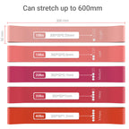 TechStone Resistance Bands Set for Men and Women, Pack of 5 Different Levels Elastic Band for Home Gym Long Exercise Workout ��� Great Fitness Equipment for Training, Yoga ��� Free Carrying Bag (Pink)