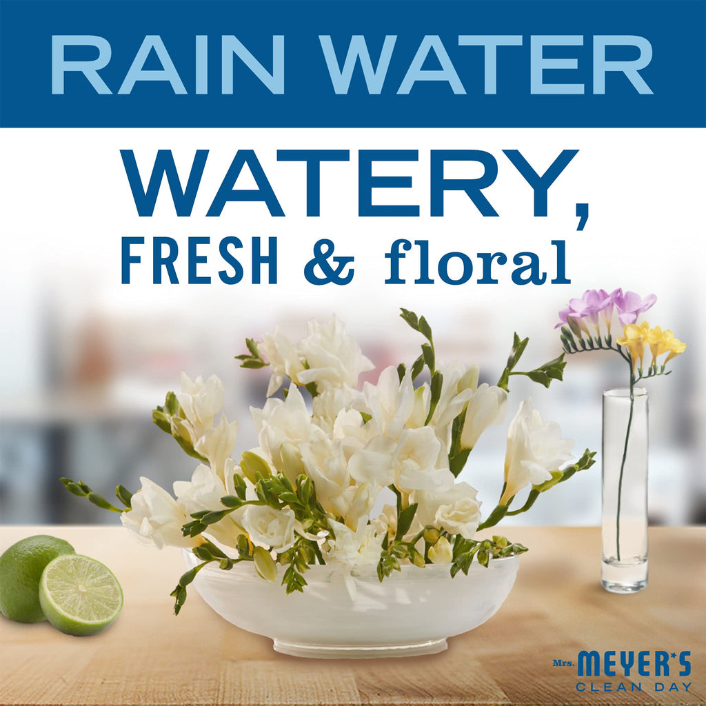 MRS. MEYER'S CLEAN DAY Foaming Hand Soap, Rainwater Scent, 10 fl oz