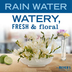 MRS. MEYER'S CLEAN DAY Foaming Hand Soap, Rainwater Scent, 10 fl oz