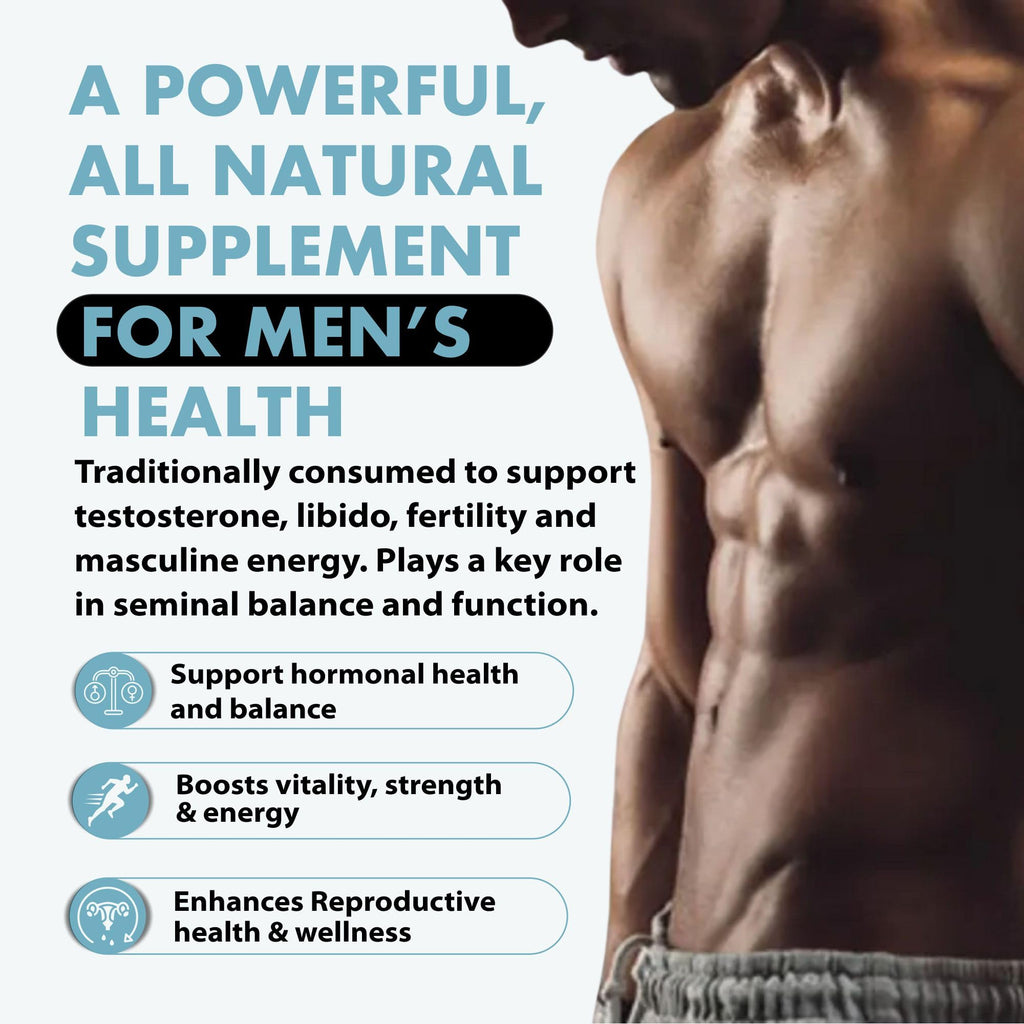 Primal Being Grassfed Beef Testes Capsules – Nutrient-Dense Beef Organ Supplement for Men, New Zealand Sourced, 120 Capsules