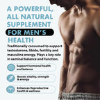 Primal Being Grassfed Beef Testes Capsules – Nutrient-Dense Beef Organ Supplement for Men, New Zealand Sourced, 120 Capsules
