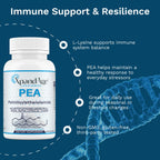 XpandAge Life Sciences Palmitoylethanolamide(micronized Pea) with Luteolin,Nadh,Rutin and Lysine for Immunity,Nervous* System* Support and Overall Wellness.60 Vegetable Capsules, Made in USA.