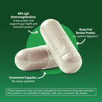 Grass Fed Colostrum Supplement for Immune and Gut Health, 2 Month Supply