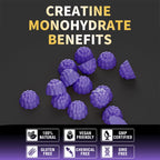 Nutravita Creatine Monohydrate Gummies for Men & Women-5g of Creatine Monohydrate per Serving - Sugar Free,Vegan, Grapes Flavor, 120 Count