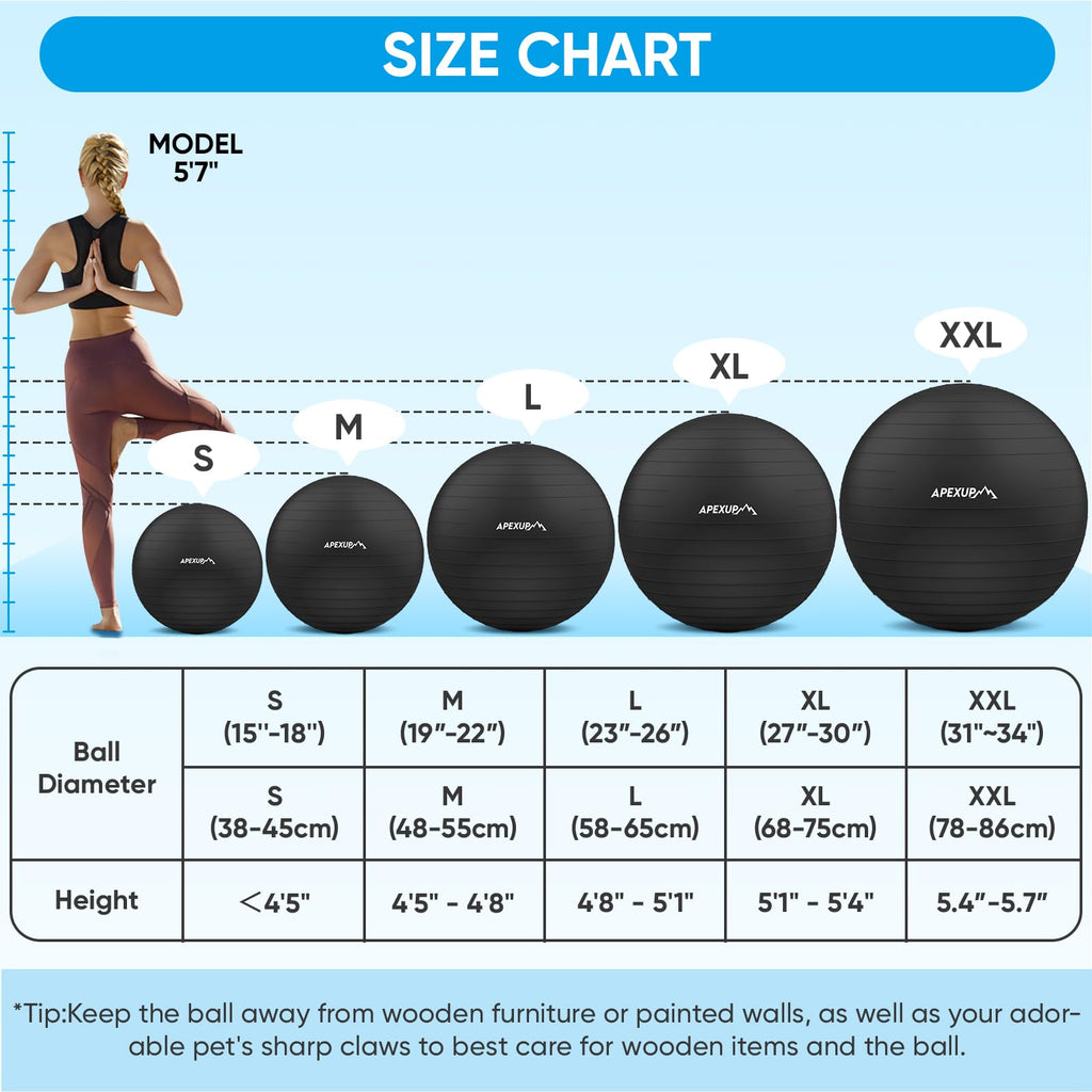 APEXUP Yoga Ball Exercise Ball, Anti Slip Stability Ball Chair, Heavy Duty Large Gym Ball for Fitness, Balance, Core Workout and Physical Therapy (M (19"~22'') 55cm, Black)