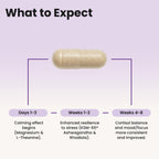 WellPath Soothe Cortisol Manager - Cortisol Supplements for Women with KSM-66® Ashwagandha & L-Theanine - Stress Support, Detox - 11-in-1 Complex, Vegan, Made in USA, Non-GMO, 60 Ct