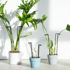 10 Pcs 8.7"Indoor Plant Support for Monstera Trellis Stakes and Stem Holder