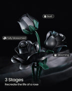 iATOM Black Rose Bouquet Building Set, Compatible with Lego Flowers for Adults - Halloween Artificial Flowers Kit, Gothic Horror Retro Botanical Collection Home Decor - IA11001