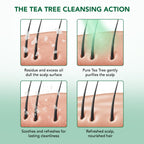 Botanic Hearth Tea Tree Shampoo And Conditioner Set for Men & Women - 32oz