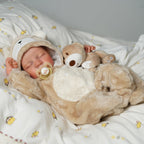 BABESIDE Lifelike Reborn Baby Dolls Boy - 17-Inch Baby Soft Body Realistic-Newborn Baby Doll Silicone Full Body Vinyl Real Life Baby Dolls with Toy Accessories