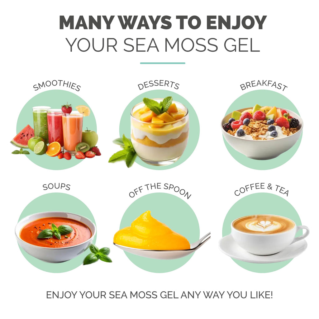 EverSmith Organics - Wildcrafted Irish Sea Moss Gel | Made in USA | Rich in Vitamins & Minerals | Sea Moss Gel Raw | Nutritional Supplement | Lemon Ginger (16 oz)