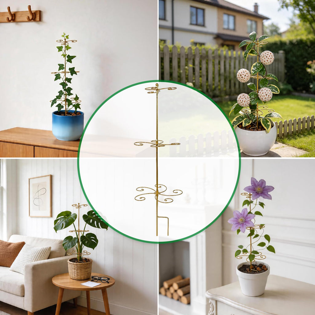 GOOOXIM 24 Inch Plant Stem Support Stakes for Monstera & Climbing Plants
