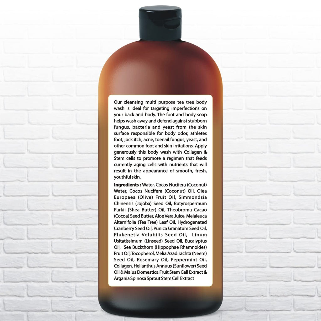 Body Wash with Tea Tree & Organic Tea Tree Oil - Fights Odor, Acne & Skin Issues, 16.9 oz by BeingNaturals
