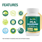 Liposomal Palmitoylethanolamide 2000MG + Luteolin 200MG + Turmeric 200MG & Fisetin 100MG, Micronized Pea 99% Highly Purified Enhanced Absorption Pea Supplement, 120 Capsules