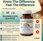 VIVANUTRA Organic Wildcrafted Sea Moss Capsules, 1476mg, Nova Scotia, 120ct