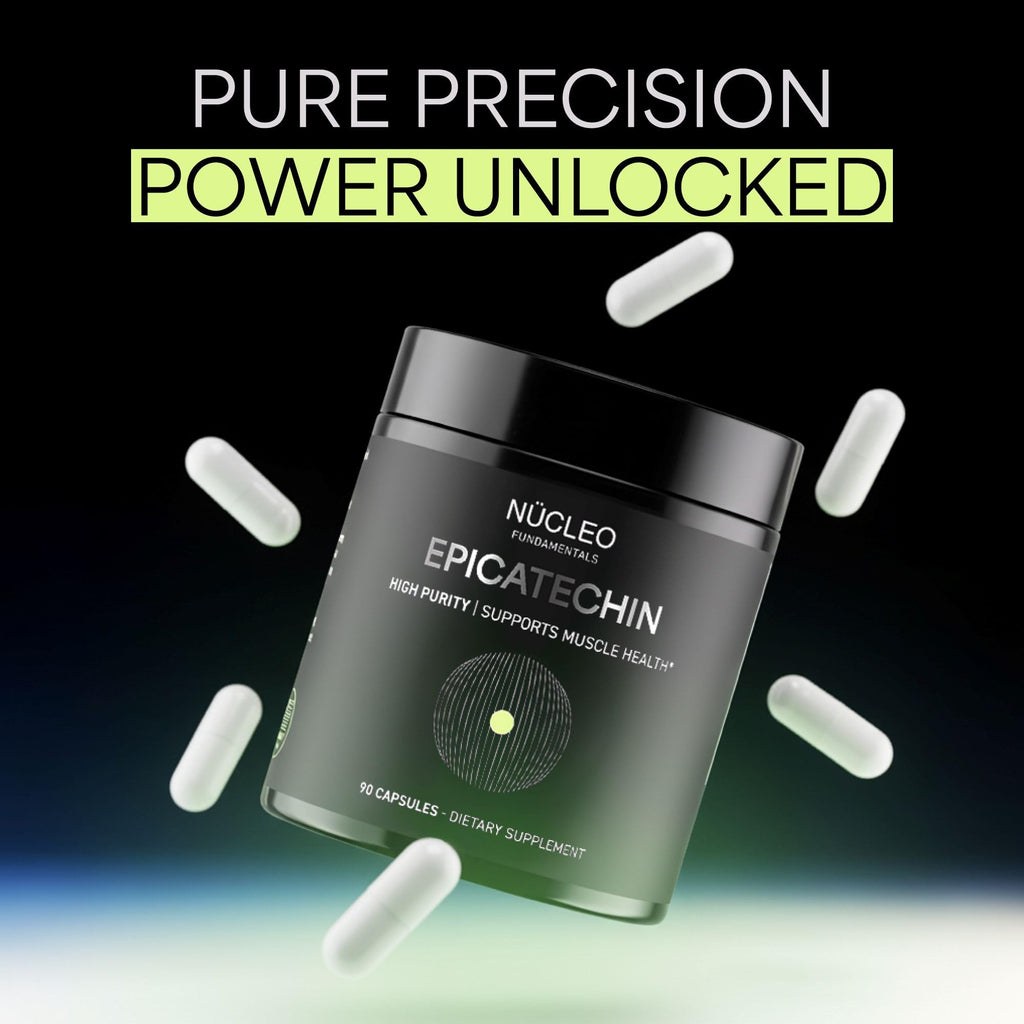 NÜCLEO FUNDAMENTALS High Purity Epicatechin - 90 Capsules - Promotes Strength & Muscle Growth - Nitric Oxide Support - for Daily Performance - Epicatechin Supplements Made in USA