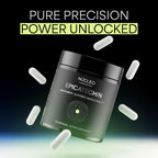 NÜCLEO FUNDAMENTALS High Purity Epicatechin - 90 Capsules - Promotes Strength & Muscle Growth - Nitric Oxide Support - for Daily Performance - Epicatechin Supplements Made in USA