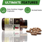 Afiyah Organic - Premium Quality Costus Igneus (Insulin Plant) Capsules - Easy to Swallow 240 Veggie Capsules (2 Month Supply) - Made in the USA - Including Complete Health Support Program