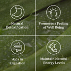 Nature's Sunshine Lower Bowel Stimulator - Helps Relieve Constipation - Cleanse & Detox Your Colon with Natural Herbal Ingredients - 25 Servings - 100 Vegcaps