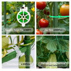 Cucumber Trellis for Raised Beds - Sturdy Arch Trellis for Peas, Beans & Climbing Plants | Outdoor Vegetable Support, Garden Trellis Kit (63" Lx30 Wx48 H)