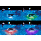 Intex 28690E Solar Powered LED Floating Light with Auto On and Auto Off, Color Changing and Static White Mode Swimming Pool Party Lights