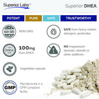 Superior Labs – Extra Strength Natural DHEA – Non-GMO 100 mg Dose, 60 Vegetable Capsules – Promotes Healthy Aging in Men & Women – Helps Restores Youthful Energy Levels