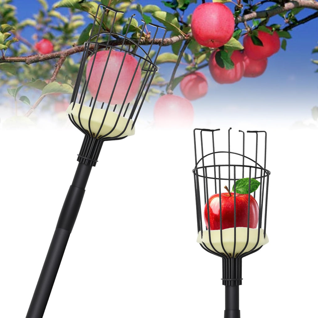 Pragmatist Fruit Picker Pole Tool with Basket, 9.6 FT (116 Inch) Adjustable Fruit Grabber Reacher Tool Long Handle Fruit Catcher for Apple Lemon Pear Citrus Mango Tree Gardening Supplies, Black
