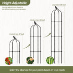 Trellume Garden Obelisk Trellis for Climbing Plants Outdoor - 69"(H), Rustproof Trellis with Adjustable Rings, Metal Plant Support for Potted Vines, Garden Trellis Use for Outdoor or Indoor(2 Pack)