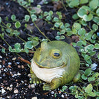 Evergreen Garden Cute Portly Frog 6" Tall Outdoor Statue and Secret Key Holder | Weatherproof and Outdoor Safe | Garden Sculpture | Porch Garage or Patio Home Decor