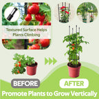 2 Pack Tomato Cages for Garden - Heavy Duty Tomato Trellis for Climbing Plants Outdoor & Indoor - 63 Inch Adjustable Tall Plant Cage & Support Garden Stakes for Pots Vegetables Flowers Fruits Vines