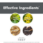 Anabolic Warfare Project Test, Support Muscle Mass & Strength*, Manage Hormone Health*, Support Sexual Health*, Made with Botanicals