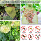 Shintop 100Pcs Fruit Protection Bags, 8x12 Inch Green Grape Netting Cover