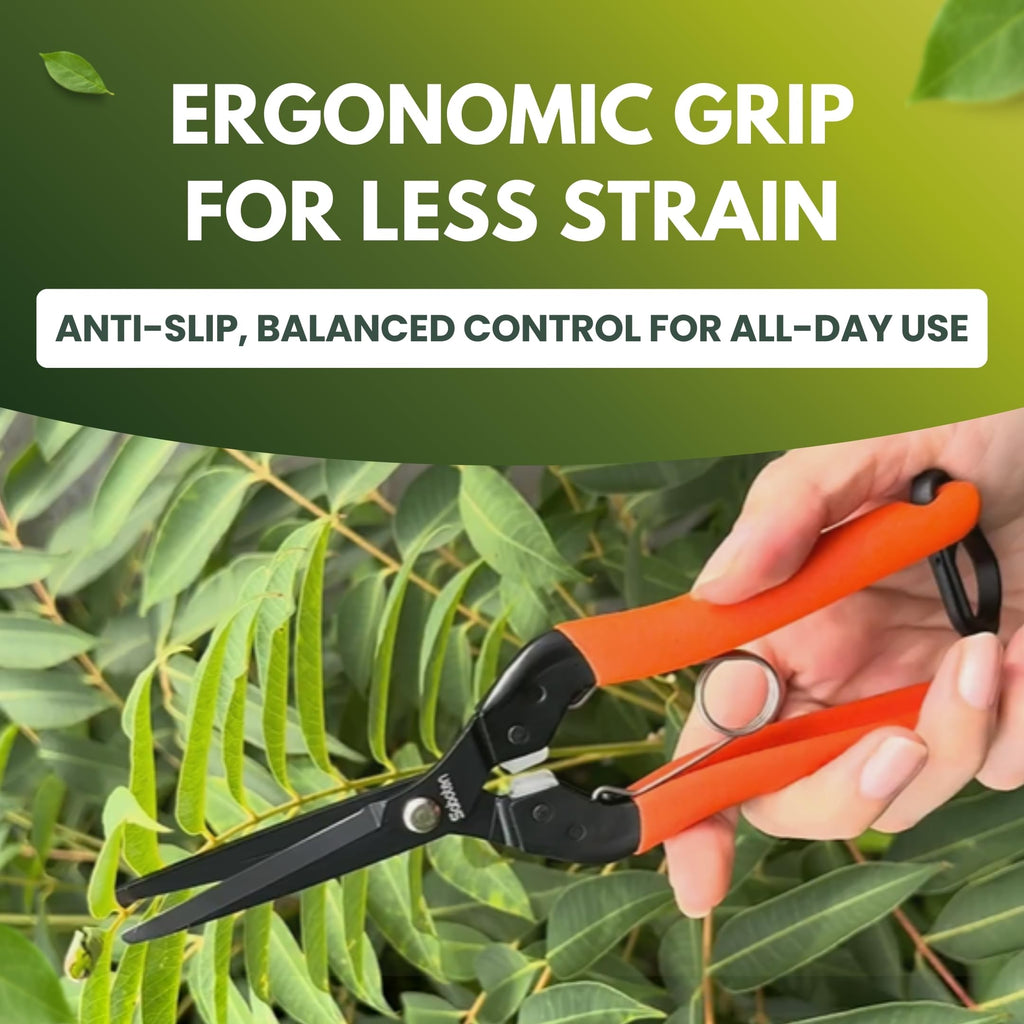Saboten Japanese Pruning Shears 7.9" – Professional Bypass Garden Clippers, Made in Japan, Sharp Carbon Steel Blade with Sap-Resistant Fluorine Coating, Cuts up to 3/4 in (20 mm) (Straight)