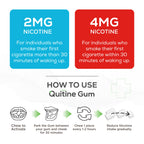 Quitine Nicotine Gum 2mg, Fruit Flavor, Stop Smoking Aid – Affordable NRT to Relieve Cravings | Coated for Quick-Burst Flavor, 480 Count (Pack of 2), Traditional Gum to Support Your Quit Journey