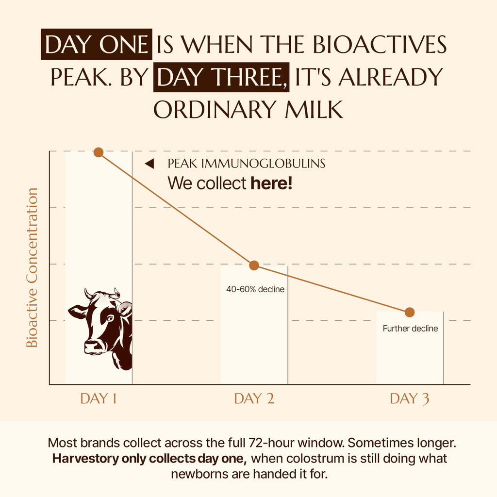 Harvestory Grass-Fed Bovine Colostrum Powder - First-Day Milking, Unstripped Full-Fat - Supports Gut Health, Immunity, Skin & Hair - Unflavored, Non-GMO, Made in USA, 30 Servings