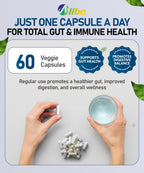 Allbe ProbioCan - Probiotic 50 Billion CFU (60 Servings), 11 Strains of Lactobacillus & Bifidobacteria, Supports Digestive Health & Immune Function, Probiotics for Women & Men - Pack of 1