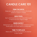 Yankee Candle Spiced Pumpkin Scented Candle, 22oz Large Jar