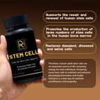 REACH HEALTH STEM Cell Supplement, Maintain Youth and Longevity Patented Stem Cell Activation Formula (2 Bottle, 120 Capsules)