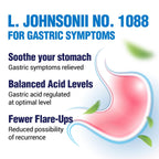 LABO Nutrition GASTRICELL - Acid Reflux, Heartburn, Recurring Gastric Discomfort For Natural Defence Against Gastric Distress, Supports Lining Integrity - Heat Treated Postbiotic, 1 Daily, 30 capsules