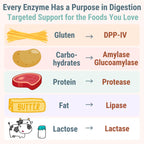 Gluten & Lactase Digestive Enzyme Gummies – Lactase Pancreatic Enzymes with DPP‑IV Lipase Gluco‑Amylase Lactase, Drops Chewables Capsules Pills Powder Supplement Alt, Pancreatic Support, for Kids