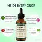 Lymphoria Lymphatic Drainage Drops, Lymphatic System Support, Immune System, Natural Herbal Blends, Vegan & Non-GMO (1)