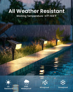 SOLPEX Solar Spot Lights Outdoor Waterproof IP65, Landscape Spotlights Outdoor, Compact Design Spot Lights, Solar Powered Flood Lights for Garden Yard House Pathway Tree Outside, 12 Pack, Warm White