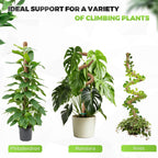 Moss Pole Monstera Plant Support 2 Pack 63 Inch Bendable Monstera Support